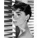 Audrey Hepburn
