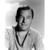 Gig Young