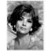 Gina Lollobrigida