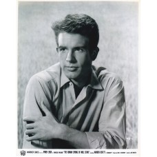 Warren Beatty 