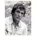 Terence Stamp